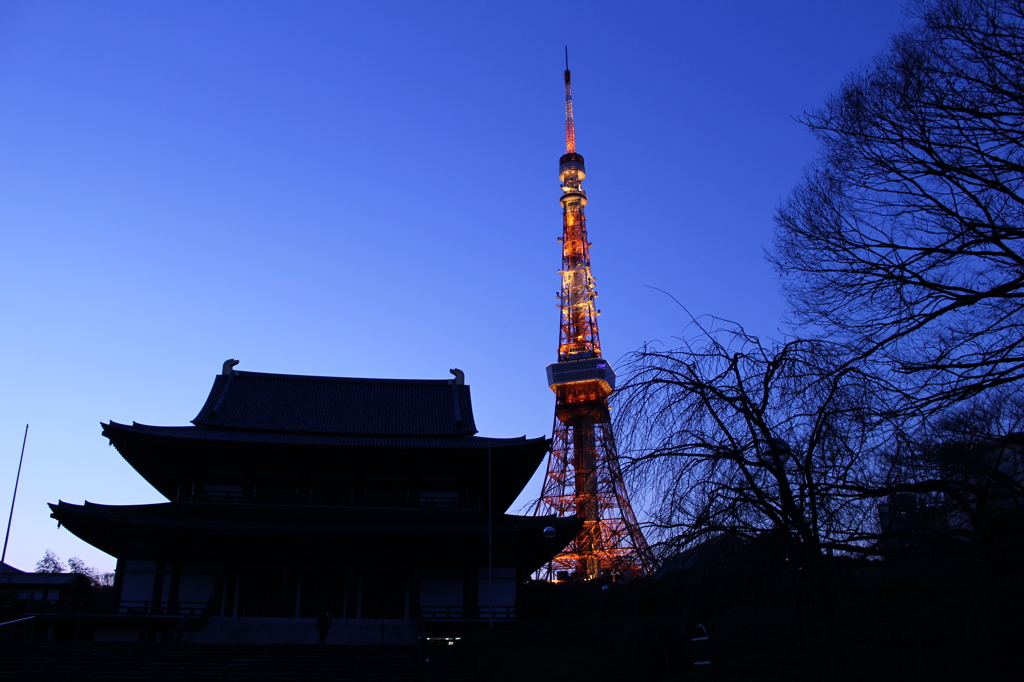 東京散策（東京タワー）