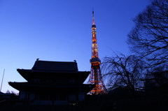 東京散策（東京タワー）