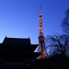 東京散策（東京タワー）