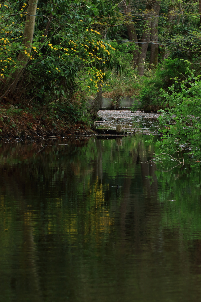 なんとなく風景