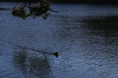 明るい写真を狙ったら、いよいよ寒々した写真が撮れた。