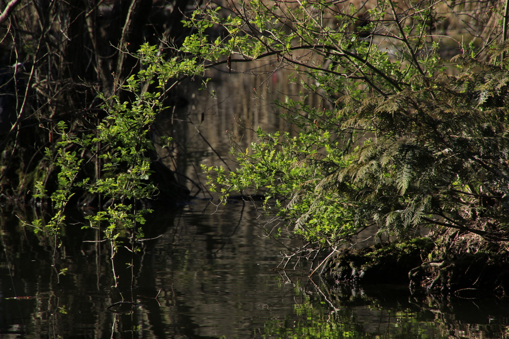しなやかな空間