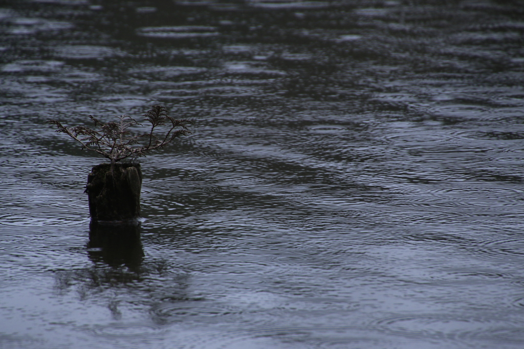 son de la pluie