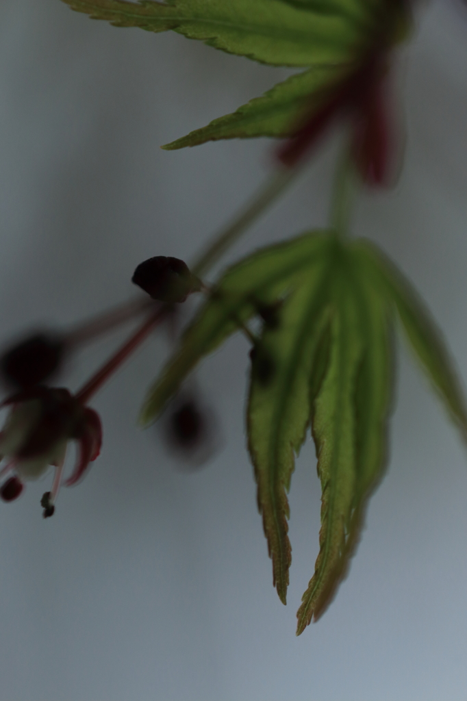 漏