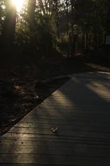 小さい冬みつけた