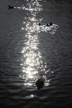 どちらに着くか・・・