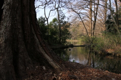 好きな風景