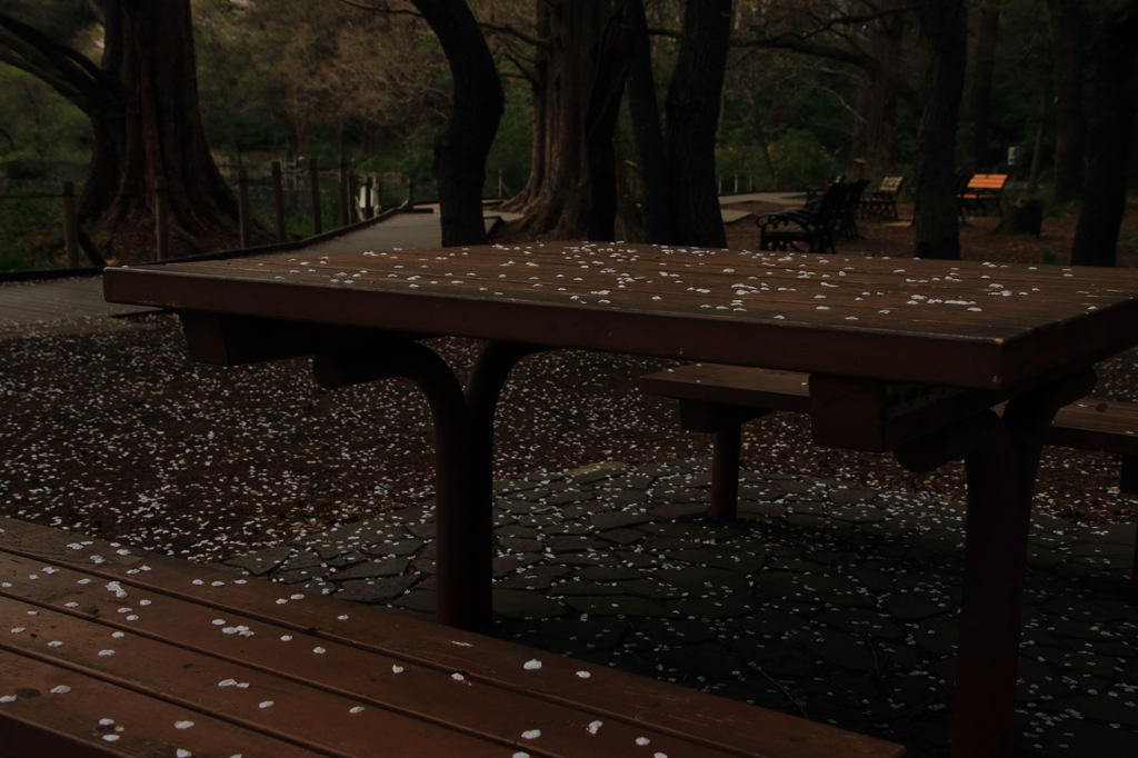 春のおもてなし