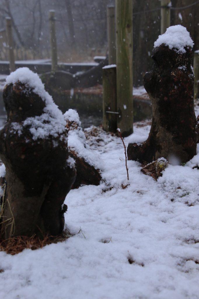師匠から弟子への伝承－雪中編－