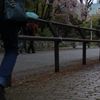 雨の日には雨のように。。。