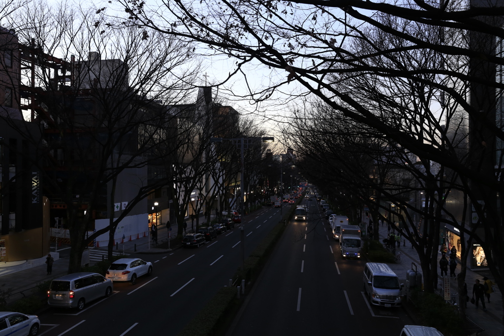 大人の時間へ