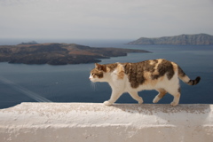 サントリーニ島での出会い