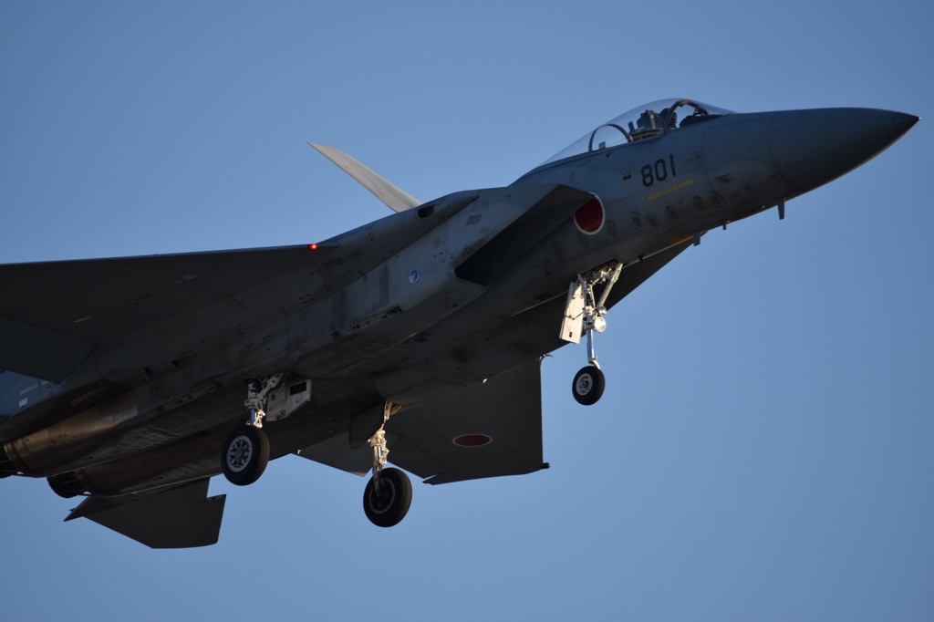 F-15J