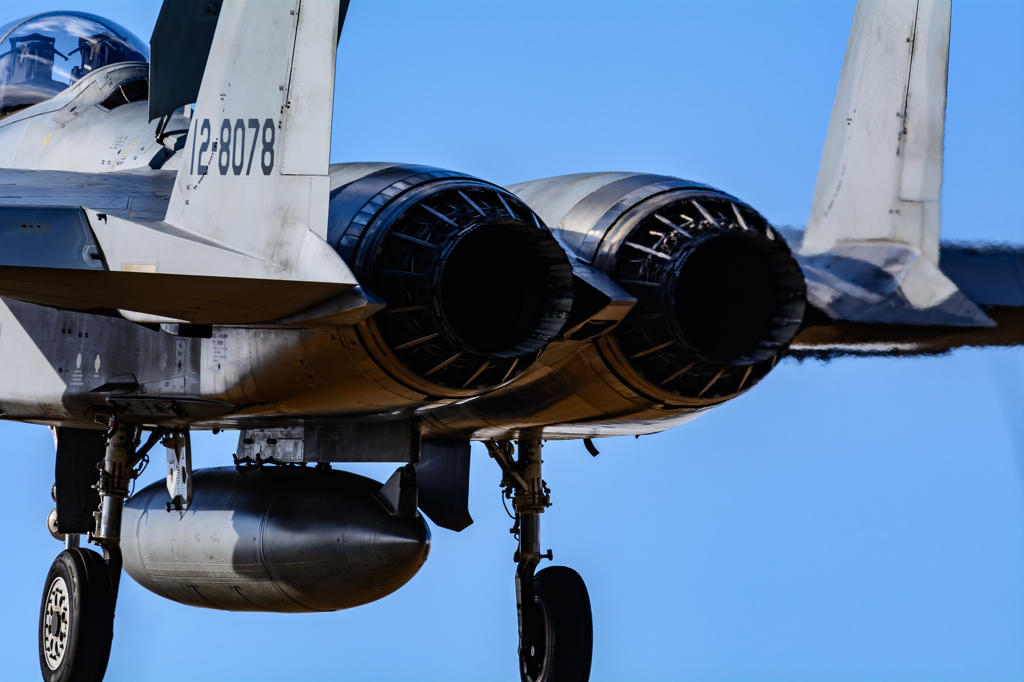 Eagle tail