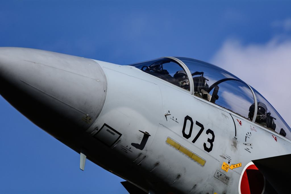 Eagle driver