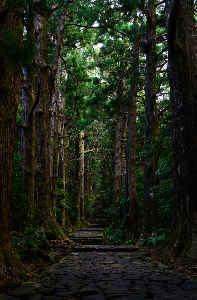 熊野古道・大門坂