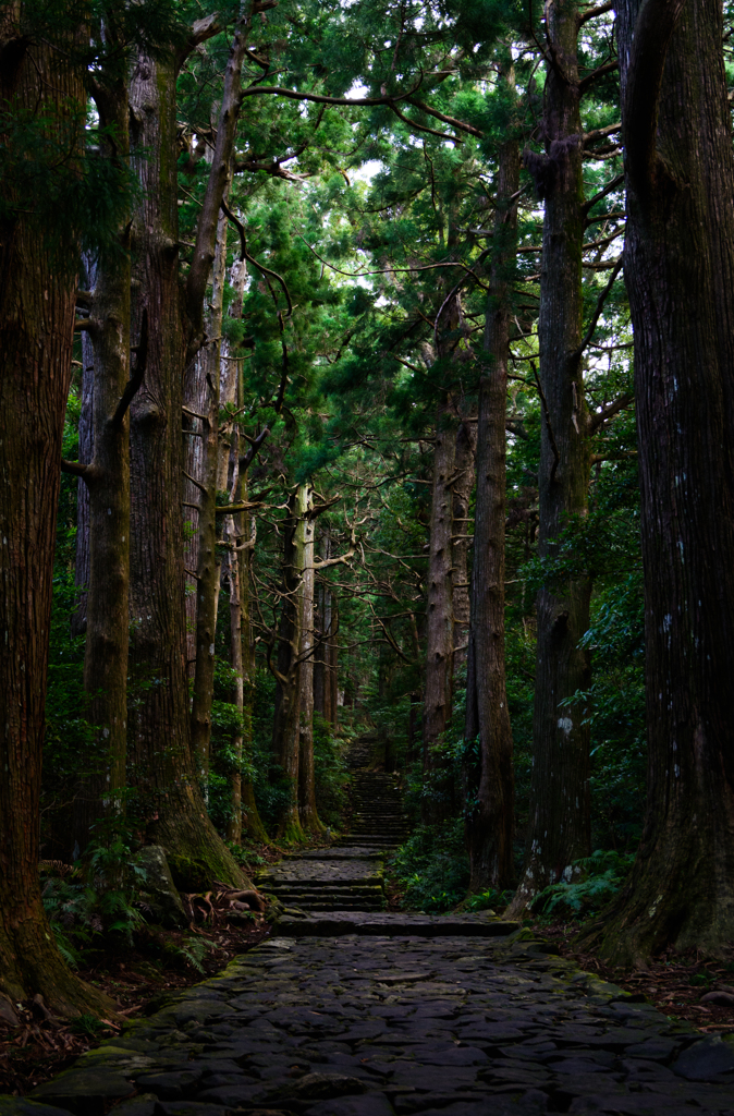 熊野古道・大門坂