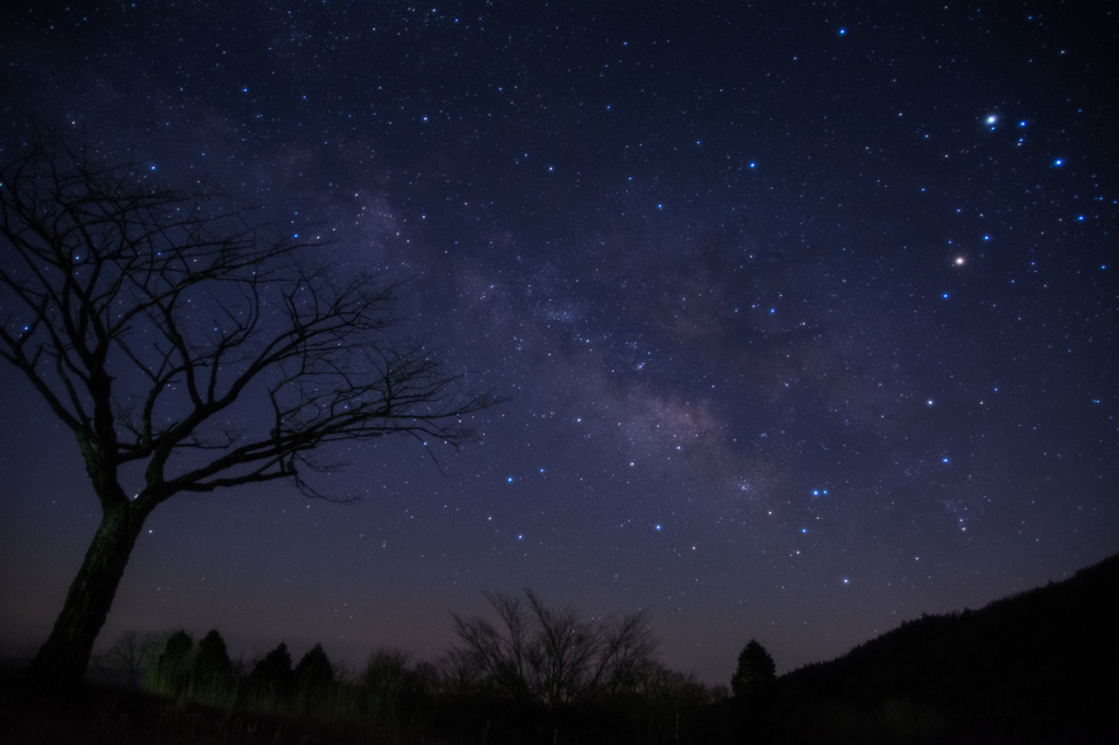 Midnight.Milky Way