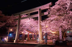 鬼怒川護国神社 夜桜まつり