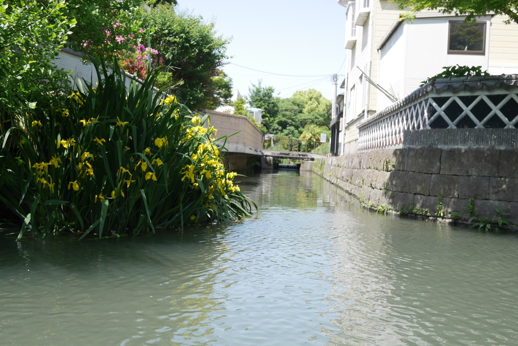 白壁と水路