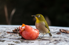 柿食う