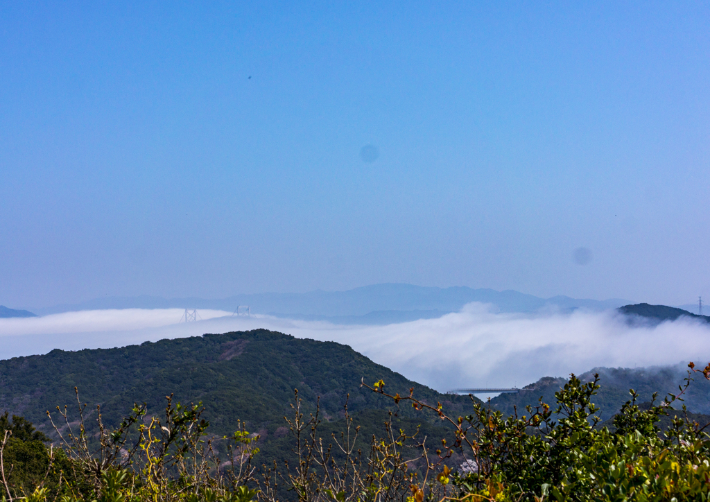 雲海