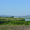 淀川