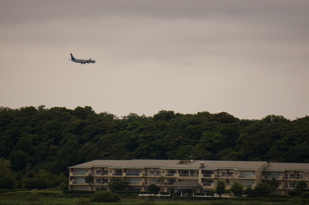 空を行く