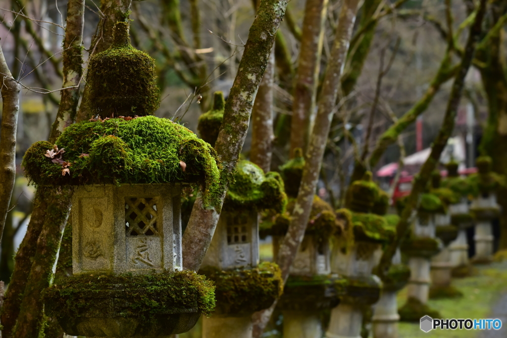 瑠璃寺