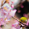 じーっ