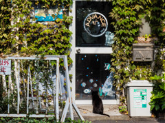 開店まだかな？