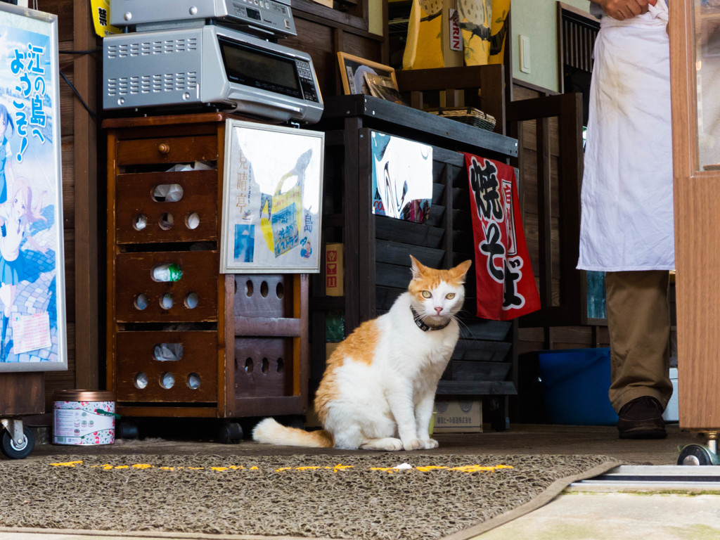 いらっしゃいませ～