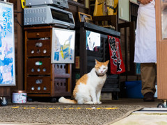 いらっしゃいませ～