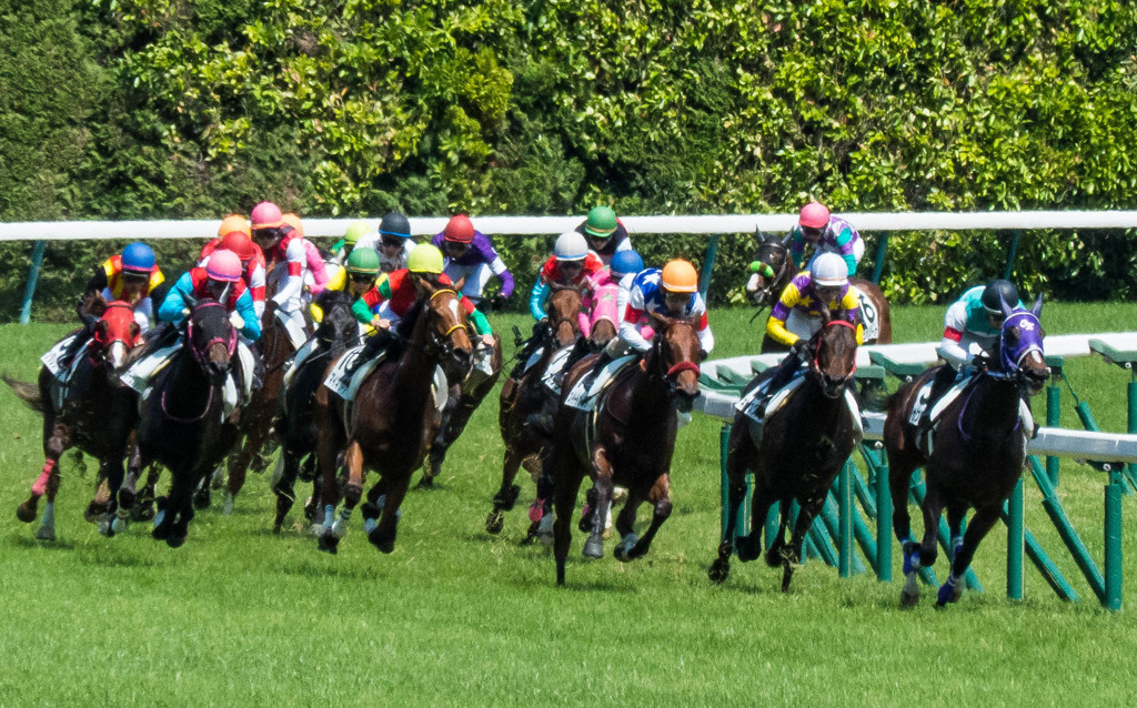 東京競馬場にて～その２