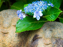 花飾り