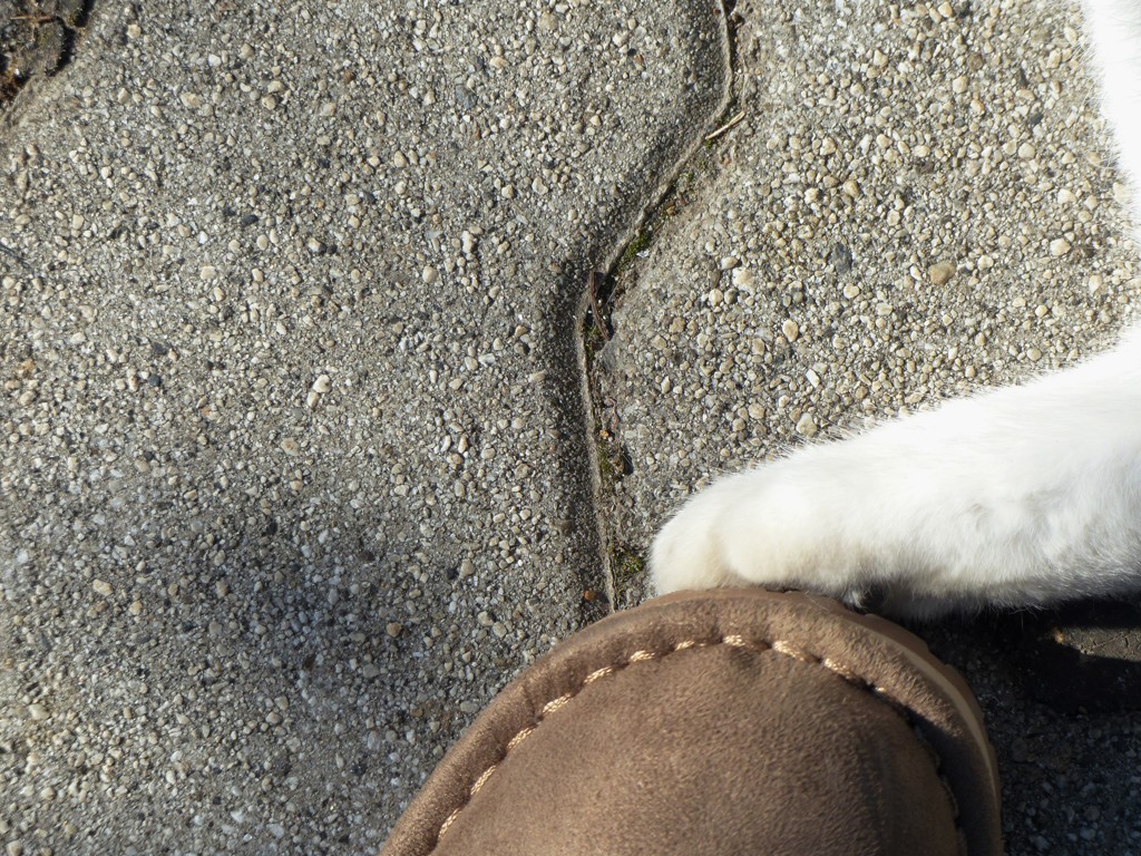 脚と足でタッチ