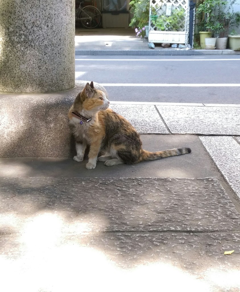 視線の先には…