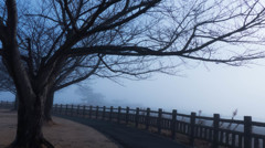 突然の霧