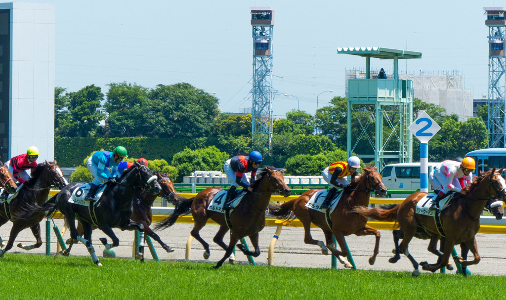 東京競馬場にて～その１