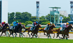 東京競馬場にて～その１