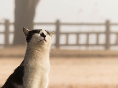 んーっ