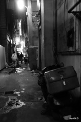 1-DSC00839
