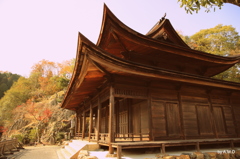 1-5G0A8381