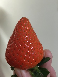 strawberry