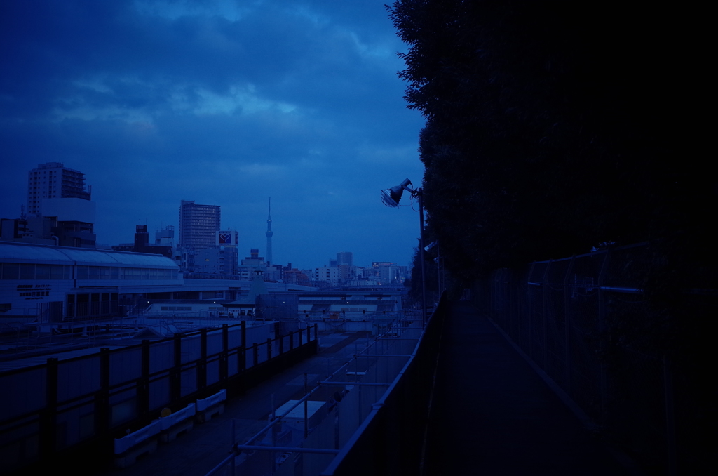 蒼い夕時