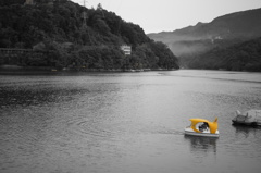 Yellow Boat