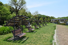 ベンチ