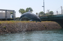 いおワールドかごしま水族館１