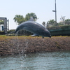 いおワールドかごしま水族館１