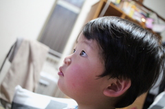 仮面ライダードライブを食い入るように見る息子